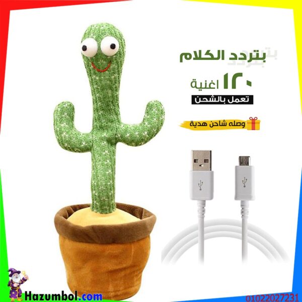 ⁦الصباره الراقصه⁩ - الصورة ⁦3⁩